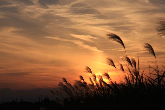 A BÍBLIA NEGA A DIVINDADE DE JESUS
