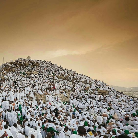 Dia de‘ Arafah