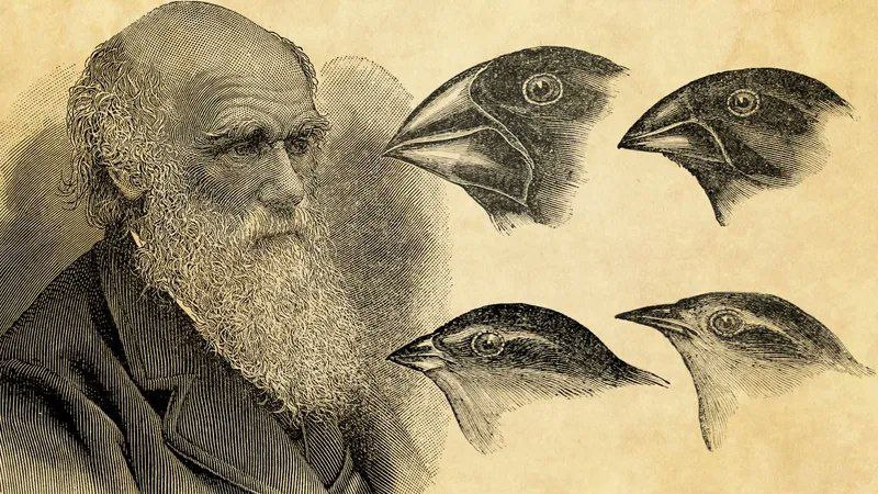 Darwinismo, um fato inegável ou um culto religioso?